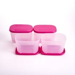 Bộ 4 Hộp Đựng Thực Phẩm Tupperware Trữ Đông Gen I Mini 300ml - Sheer Fdust
