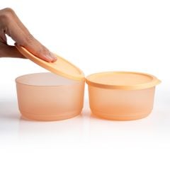 Bộ 2 hộp đựng thực phẩm Tupperware trữ khô và mát Stacking Round Medium 530ml