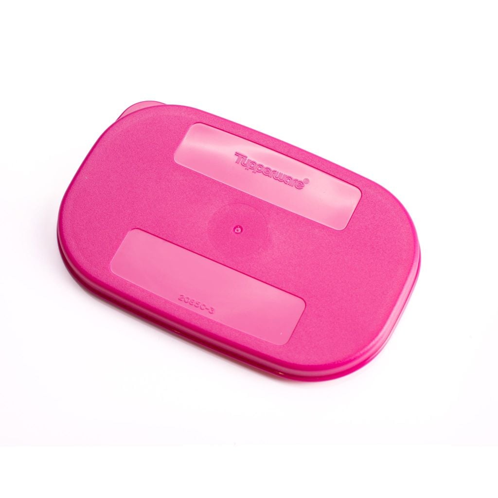 Bộ 4 Hộp Đựng Thực Phẩm Tupperware Trữ Đông Gen I Mini 300ml - Sheer Fdust