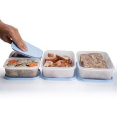 Bộ 4 hộp đựng thực phẩm Tupperware trữ đông Gen II 450ml và 1L