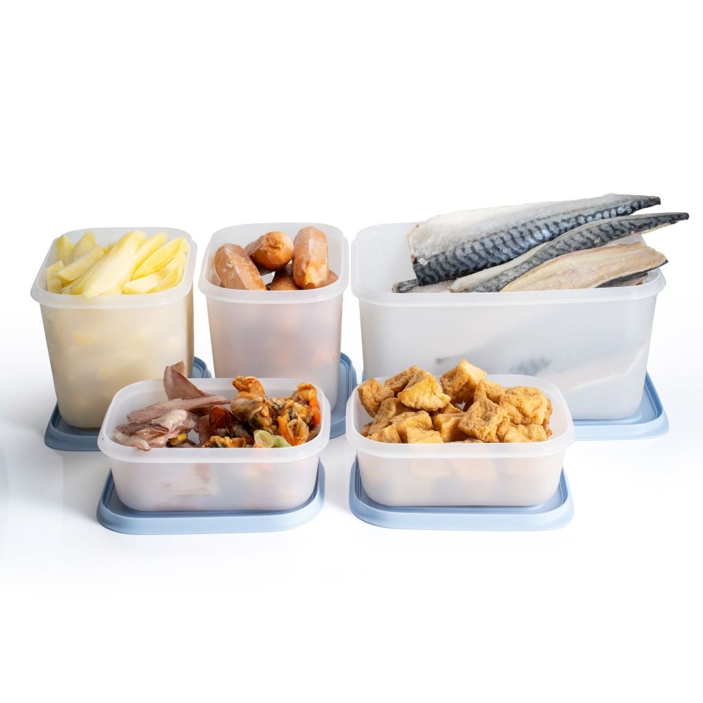 Bộ 5 hộp Tupperware trữ đông Gen II 450ml, 1.1L, 2.5L