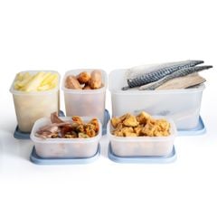 Bộ 5 hộp Tupperware trữ đông Gen II 450ml, 1.1L, 2.5L