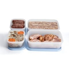 Bộ 4 hộp đựng thực phẩm Tupperware trữ đông Gen II 450ml và 1L