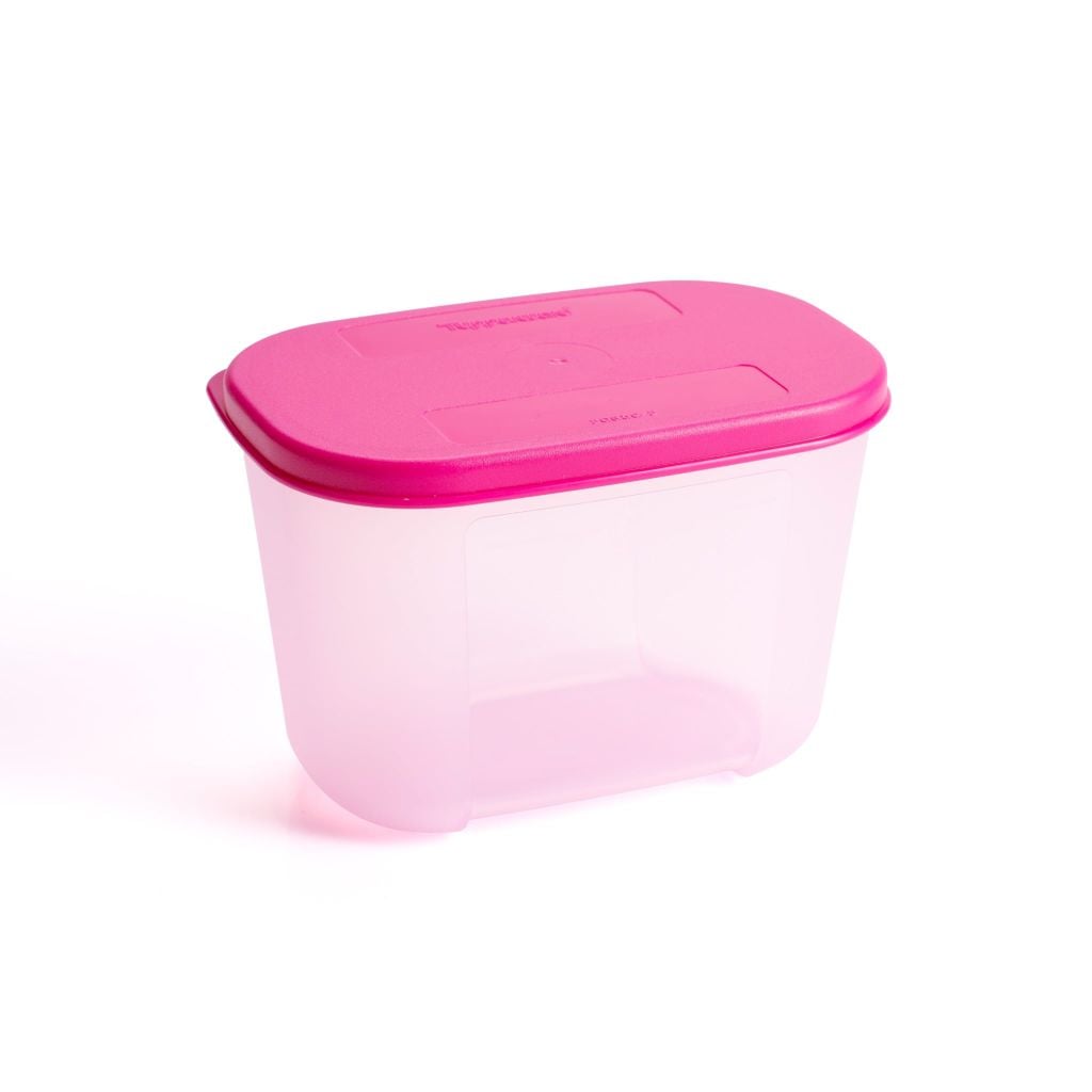 Bộ 4 Hộp Đựng Thực Phẩm Tupperware Trữ Đông Gen I Mini 300ml - Sheer Fdust