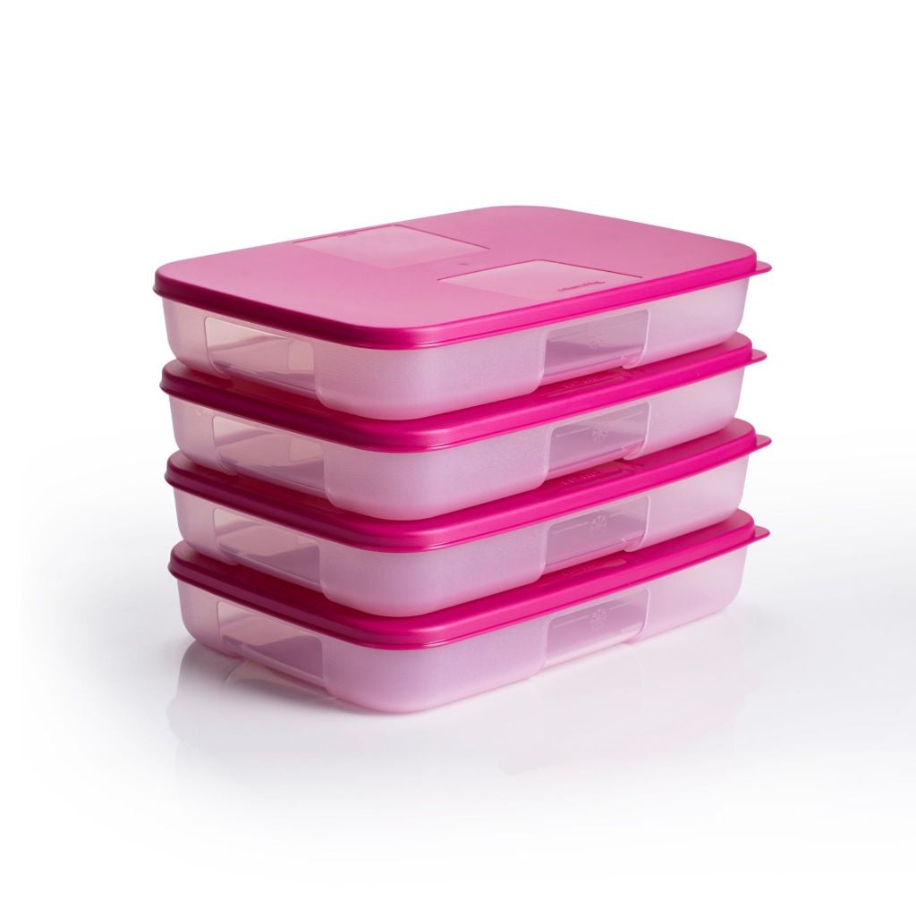 Bộ 4 hộp đựng thực phẩm Tupperware trữ đông Gen I Medium 650ml - Sheer Fdust