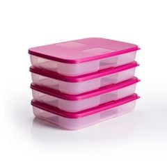 Bộ 4 hộp đựng thực phẩm Tupperware trữ đông Gen I Medium 650ml - Sheer Fdust
