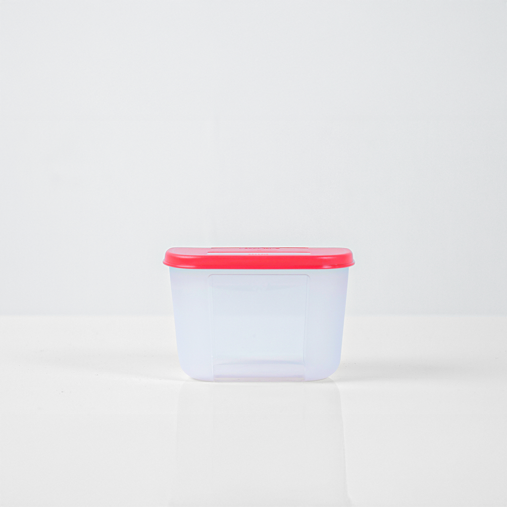 Bộ 4 Hộp Đựng Thực Phẩm Tupperware Trữ Đông Dateline Mini Double 300ml