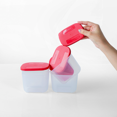 Bộ 4 Hộp Đựng Thực Phẩm Tupperware Trữ Đông Dateline Mini Double 300ml