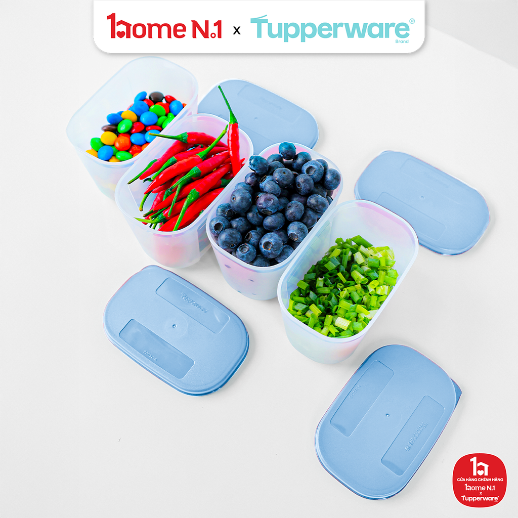 Bộ 4 Hộp Đựng Thực Phẩm Tupperware Trữ Đông Gen I Mini 300ml Nắp Sheer Cobalt