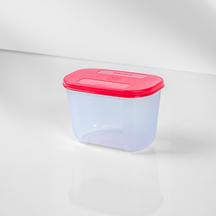 Bộ 4 Hộp Đựng Thực Phẩm Tupperware Trữ Đông Dateline Mini Double 300ml