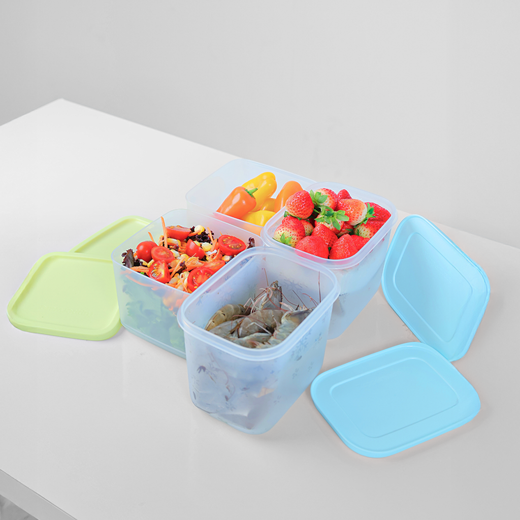 Bộ 4 Hộp Đựng Thực Phẩm Tupperware Trữ Mát Trữ Đông Starter Set II