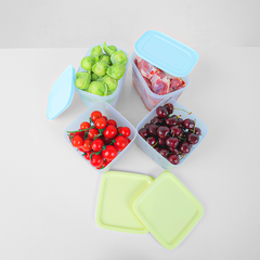 Bộ 4 Hộp Đựng Thực Phẩm Tupperware Trữ Mát Trữ Đông Starter Set II