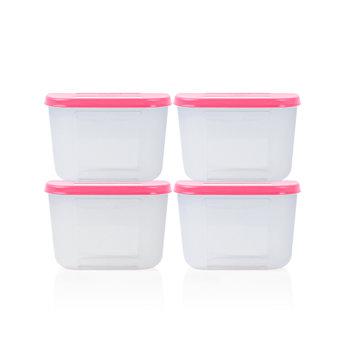 Bộ 4 Hộp Đựng Thực Phẩm Tupperware Trữ Đông Gen I Mini 300ml - Sheer Fdust