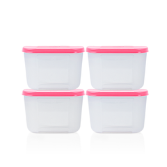 Bộ 4 Hộp Đựng Thực Phẩm Tupperware Trữ Đông Gen I Mini 300ml - Sheer Fdust