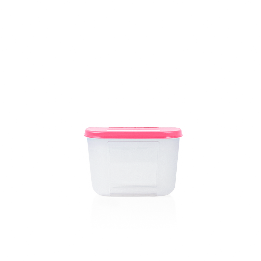 Bộ 4 Hộp Đựng Thực Phẩm Tupperware Trữ Đông Gen I Mini 300ml - Sheer Fdust
