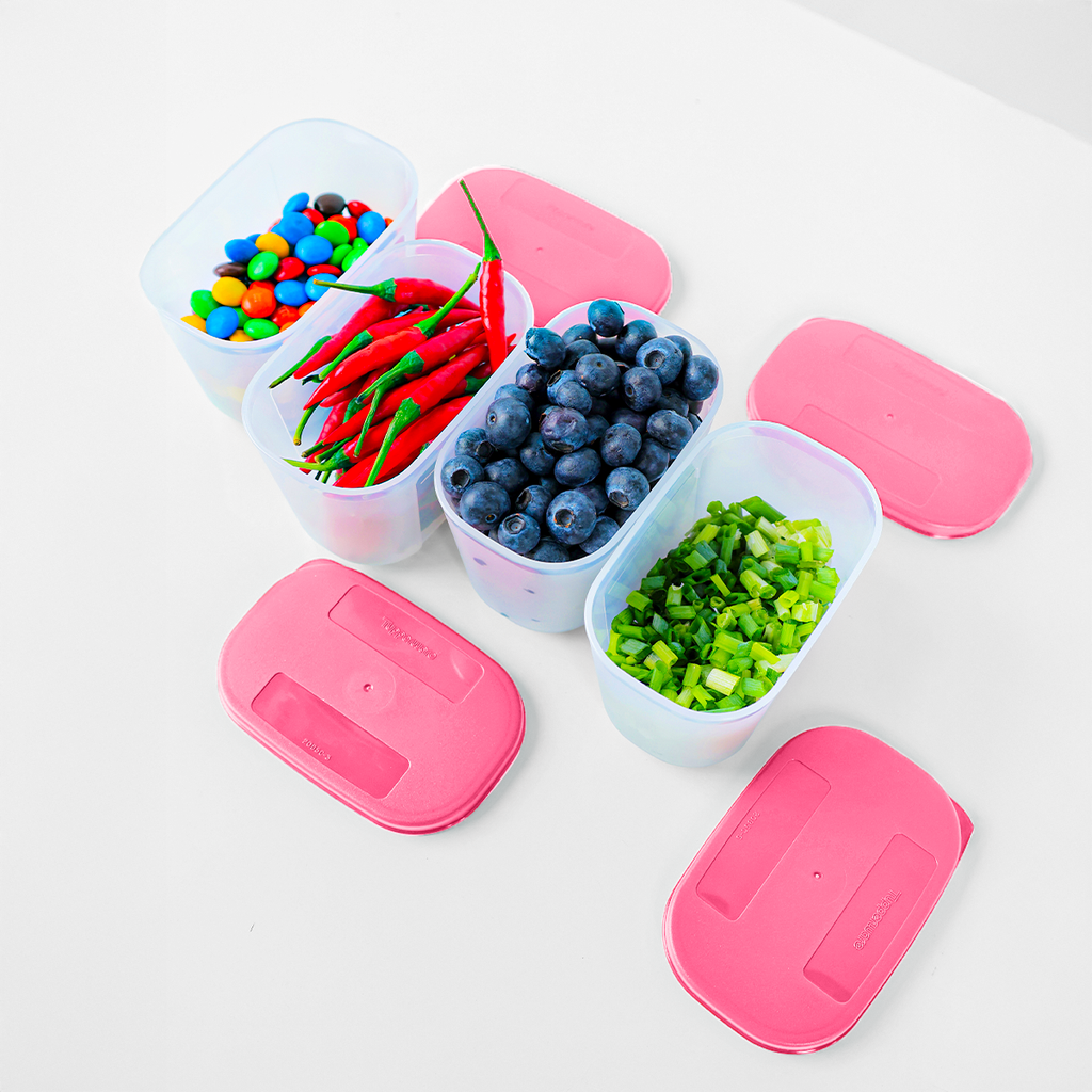 Bộ 4 Hộp Đựng Thực Phẩm Tupperware Trữ Đông Gen I Mini 300ml - Sheer Fdust