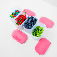 Bộ 4 Hộp Đựng Thực Phẩm Tupperware Trữ Đông Gen I Mini 300ml - Sheer Fdust