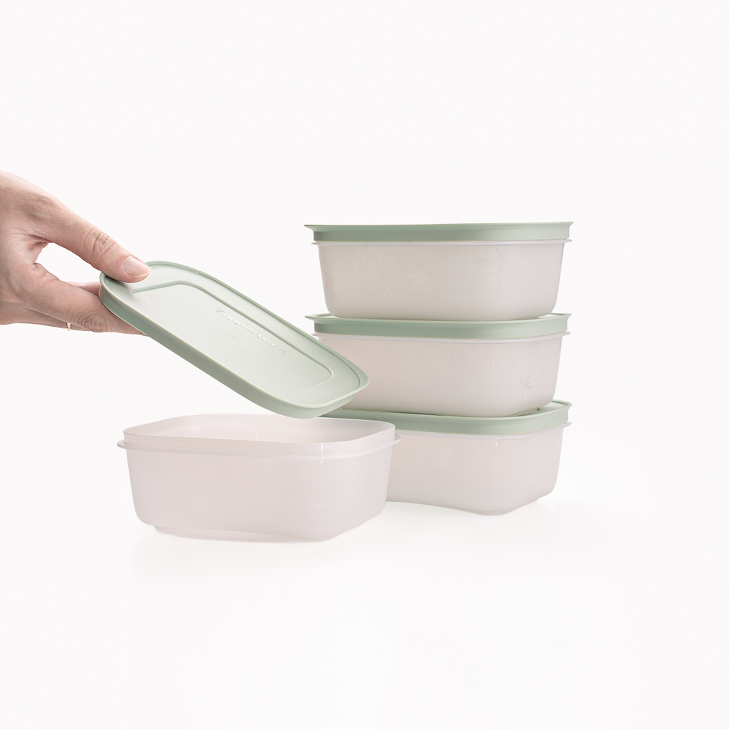 Bộ 4 Hộp Đựng Thực Phẩm Tupperware Trữ Đông Freezable 450ml
