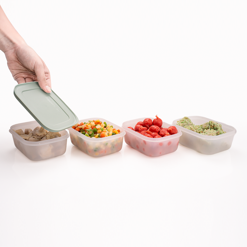 Bộ 4 Hộp Đựng Thực Phẩm Tupperware Trữ Đông Freezable 450ml