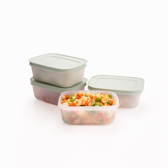 Bộ 4 Hộp Đựng Thực Phẩm Tupperware Trữ Đông Freezable 450ml