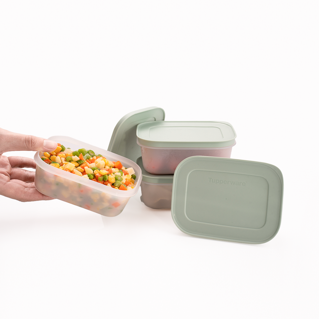 Bộ 4 Hộp Đựng Thực Phẩm Tupperware Trữ Đông Freezable 450ml