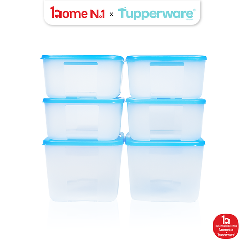 Bộ 6 Hộp Đựng Thực Phẩm Tupperware Trữ Đông Gen I Medium 2.3L & 1.5L
