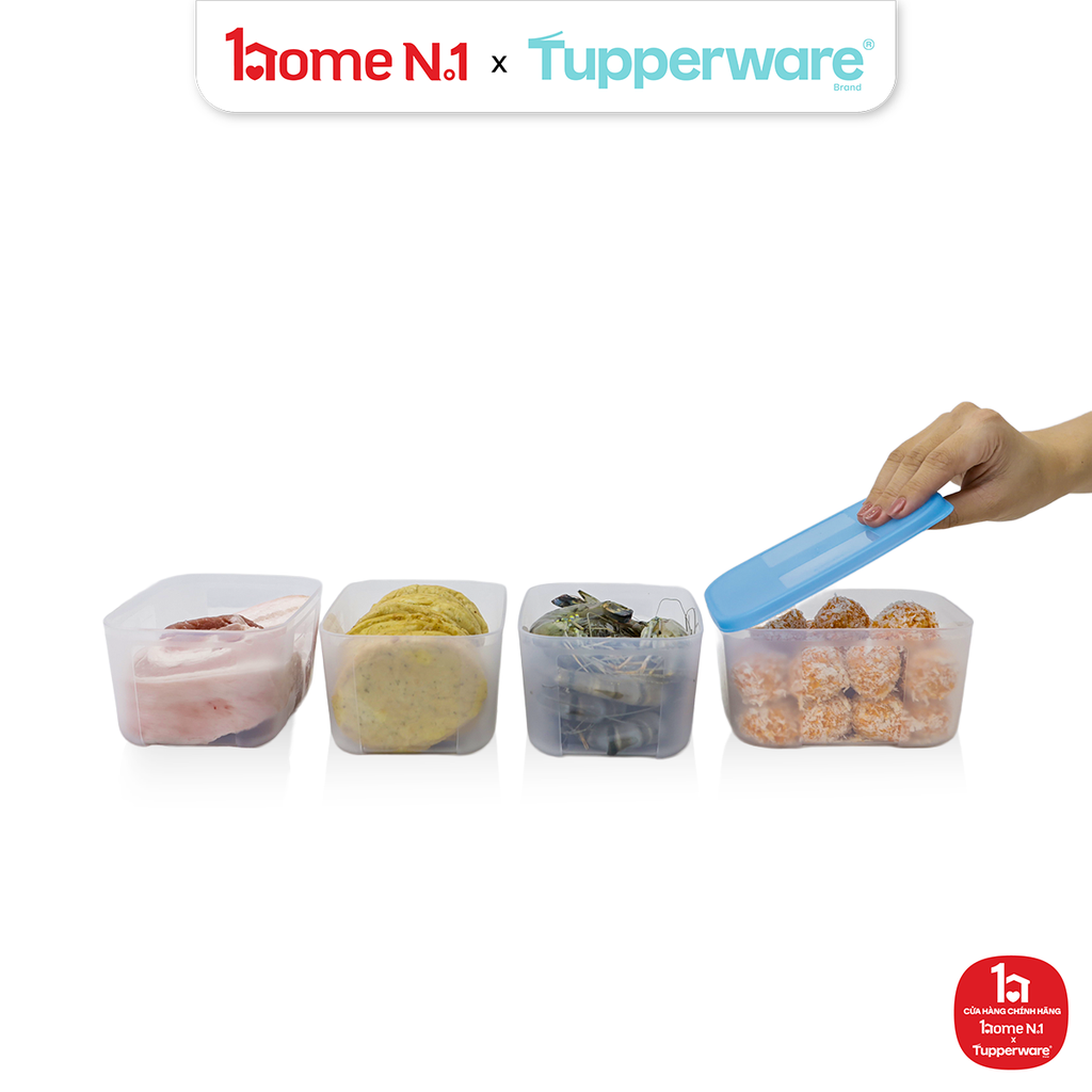 Bộ 4 Hộp Đựng Thực Phẩm Tupperware Trữ Đông Gen I Small 650ml