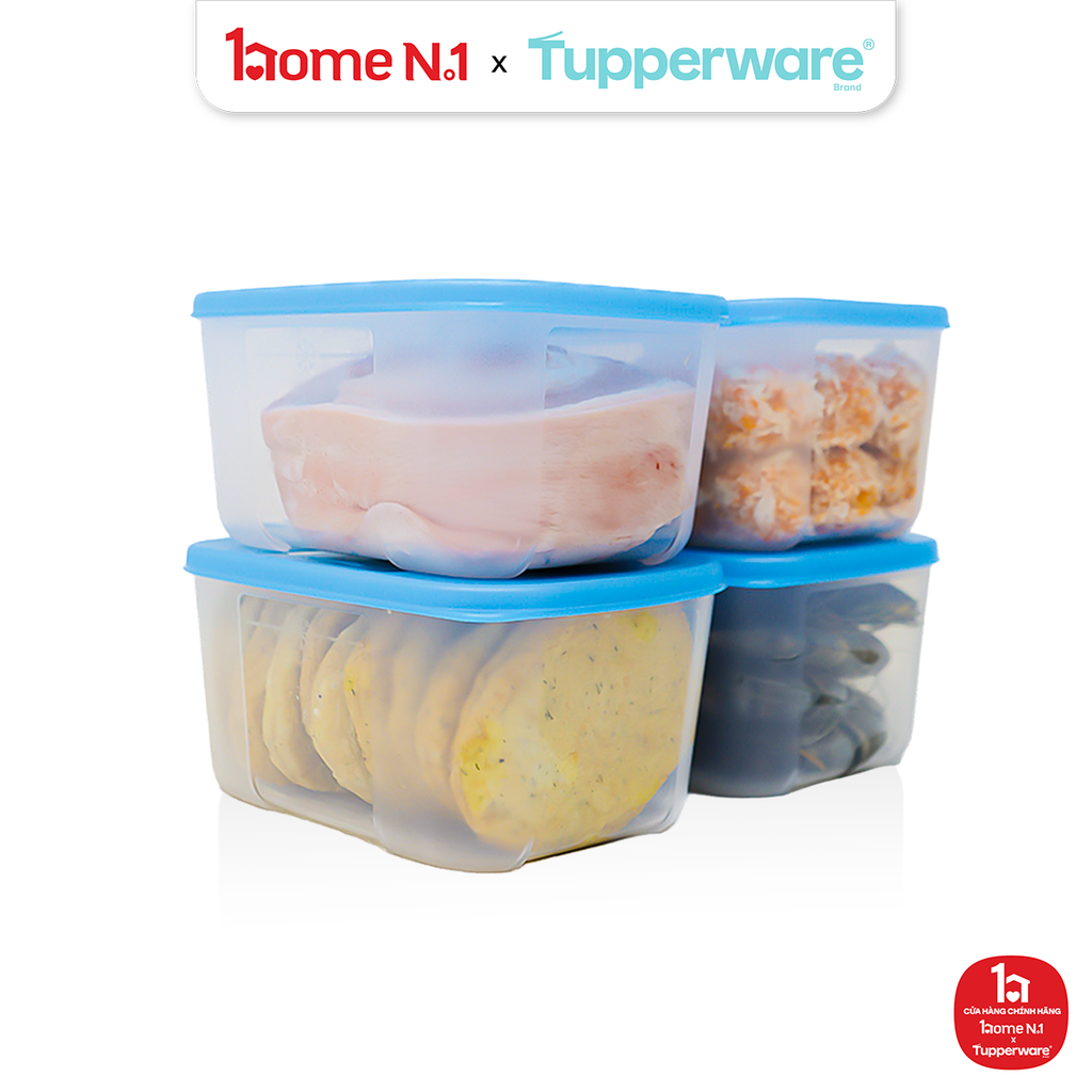 Bộ 4 Hộp Đựng Thực Phẩm Tupperware Trữ Đông Gen I Small 650ml
