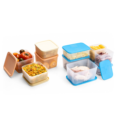 Bộ 10 hộp Tupperware Trữ đông và mát Mega Family