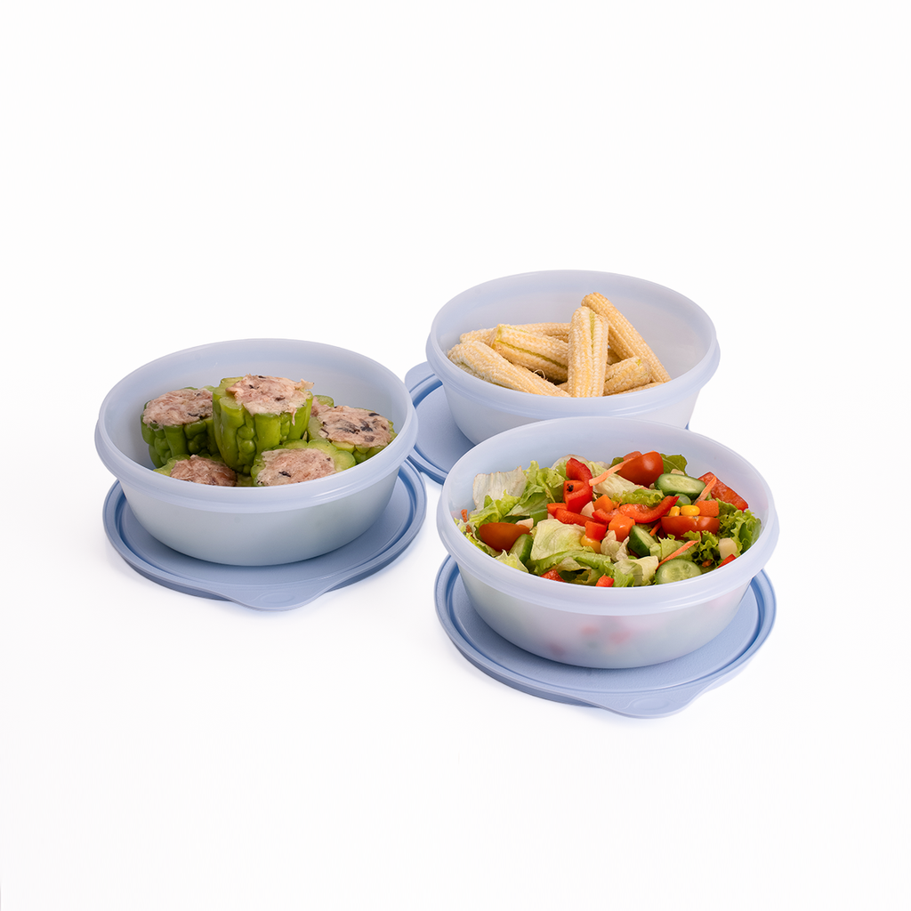Bộ 3 Hộp Đựng Thực Phẩm Tupperware Trữ Khô Và Mát Modular Bowl Medium 600ml