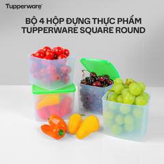 Bộ 4 Hộp Đựng Thực Phẩm Tupperware Square Round Nhỏ Gọn, Đa Dụng