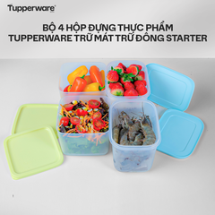 Bộ 4 Hộp Đựng Thực Phẩm Tupperware Trữ Mát Trữ Đông Starter Set II