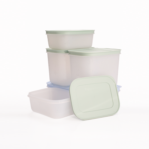 Bộ 5 hộp đựng thực phẩm Tupperware trữ đông Freezable 1.1L, 1L, 450ml