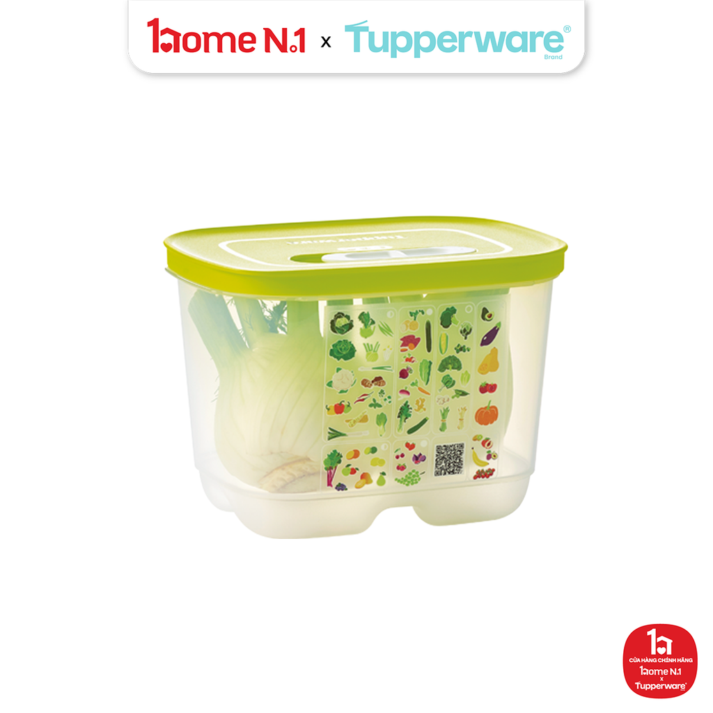 Hộp Đựng Thực Phẩm Tupperware Trữ Mát Ventsmart Chữ Nhật Nhỏ Cao 1.8L Nắp Margarita