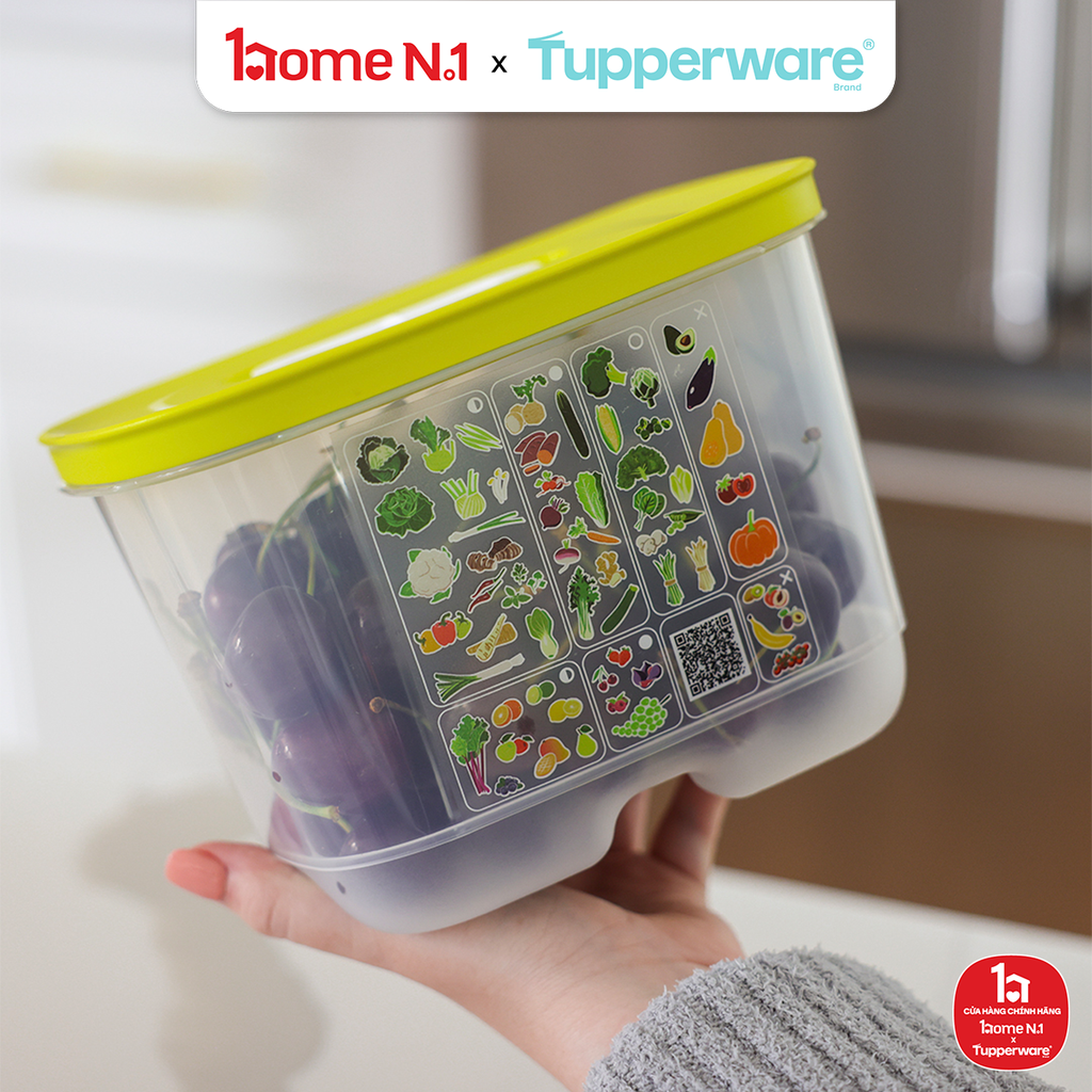 Hộp Đựng Thực Phẩm Tupperware Trữ Mát Ventsmart Chữ Nhật Nhỏ Cao 1.8L Nắp Margarita