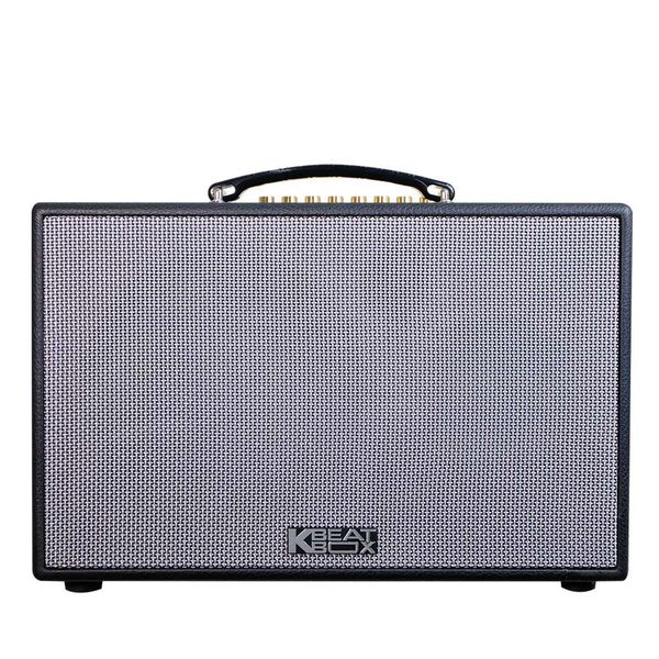 Loa Karaoke ACNOS CS201PU