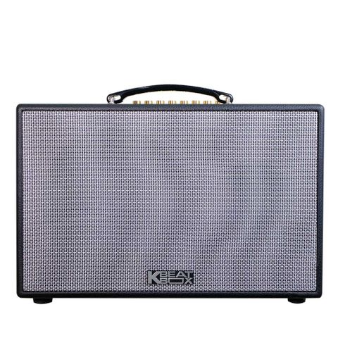 Loa Karaoke ACNOS CS201PU