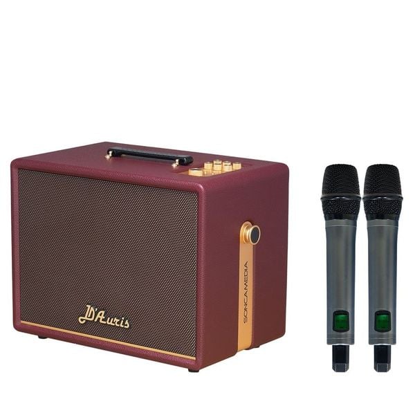 Loa Karaoke ACNOS SONCAMEDIA D'AURIS 200