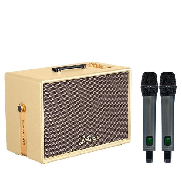 Loa Karaoke ACNOS SONCAMEDIA D'AURIS 500