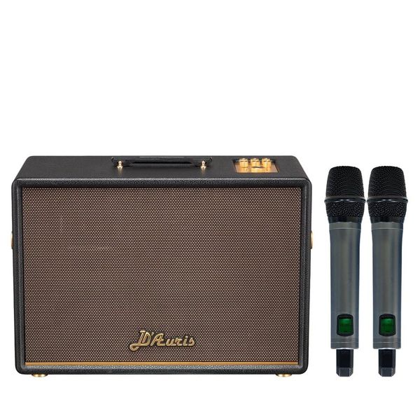 Loa Karaoke ACNOS SONCAMEDIA D'AURIS 500