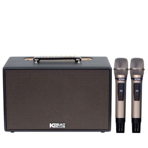 Loa Karaoke ACNOS CS201Plus