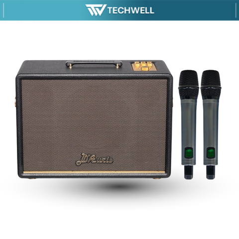 Loa Karaoke ACNOS D'Auris 300