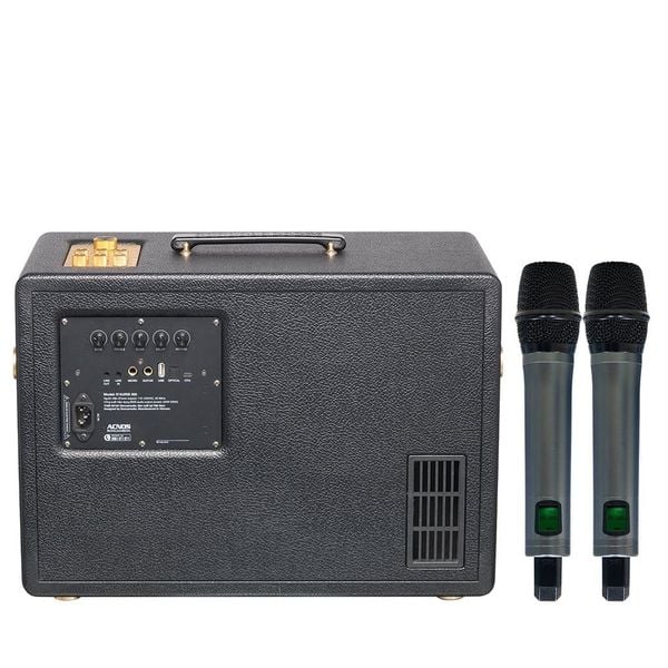 Loa Karaoke ACNOS D'Auris 300