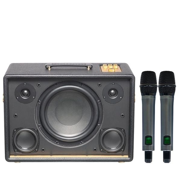 Loa Karaoke ACNOS D'Auris 300