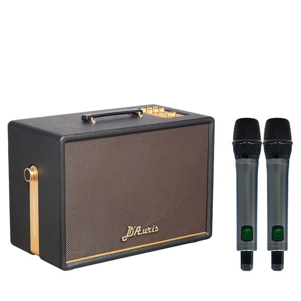 Loa Karaoke ACNOS D'Auris 300