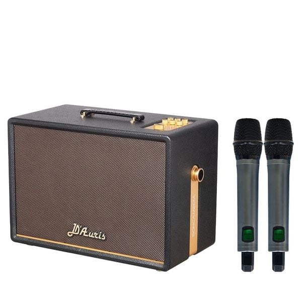 Loa Karaoke ACNOS D'Auris 300