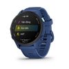 Đồng hồ GARMIN FORERUNNER 70