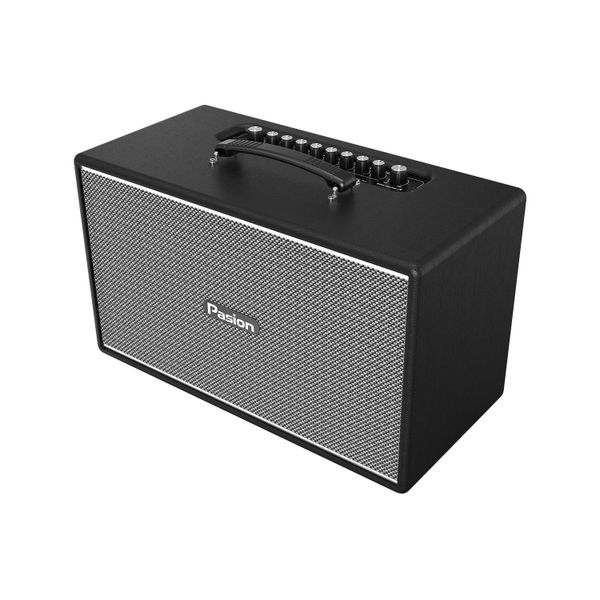 Loa Karaoke PASION Enzo