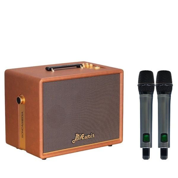 Loa Karaoke ACNOS SONCAMEDIA D'AURIS 200