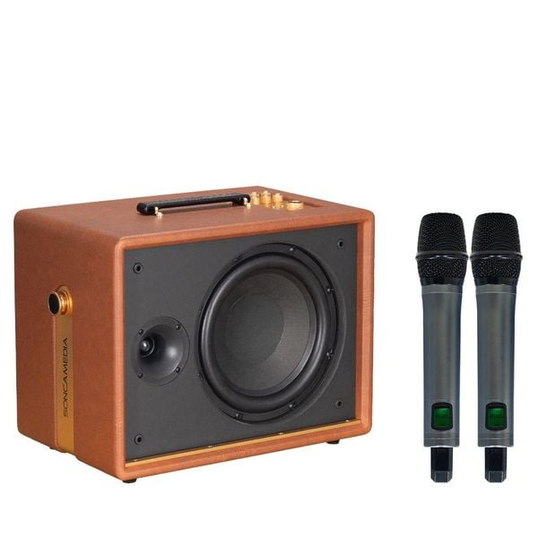 Loa Karaoke ACNOS SONCAMEDIA D'AURIS 200